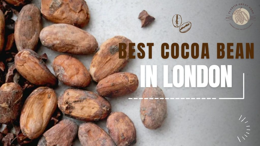 best cocoa beans in london